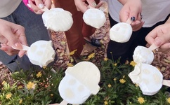 羞羞漫画登录页面免费漫画在线登录秋蝉